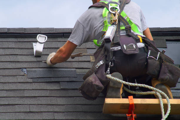 Best Roof Gutter Cleaning  in Belmont, PA